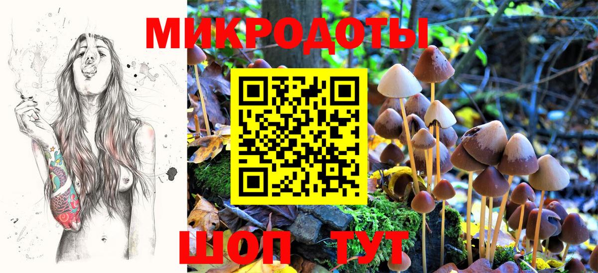 Галлюциногенные грибы ЛСД Нальчик