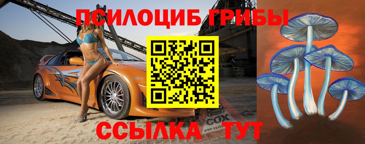 Галлюциногенные грибы Psilocybe  Вход с VPN  Нальчик 